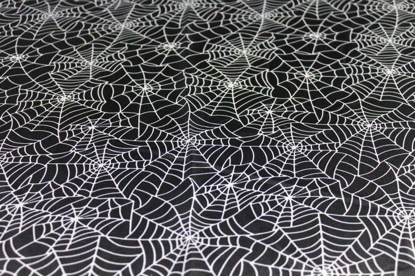 Rasete Araña 2