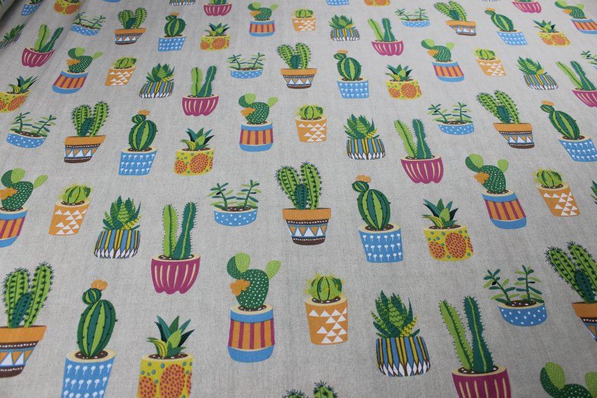 Cactus